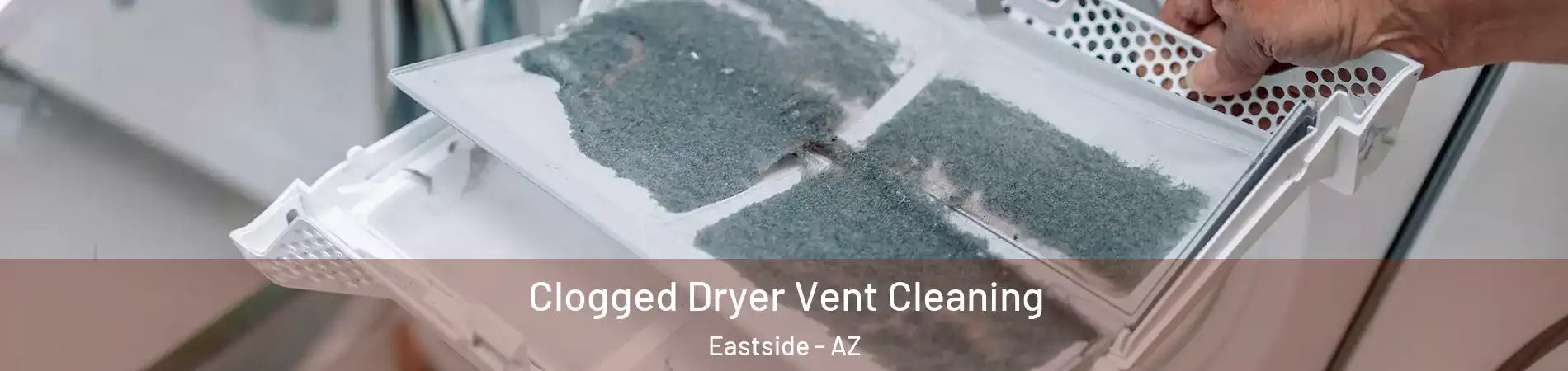 Clogged Dryer Vent Cleaning Eastside - AZ