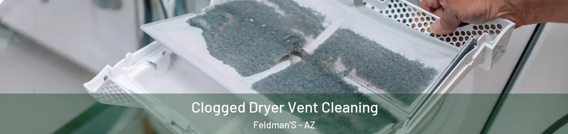 Clogged Dryer Vent Cleaning Feldman'S - AZ