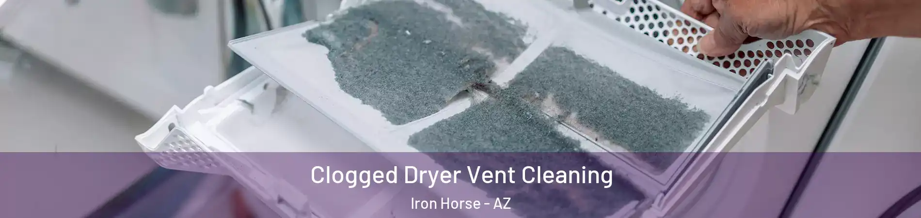 Clogged Dryer Vent Cleaning Iron Horse - AZ