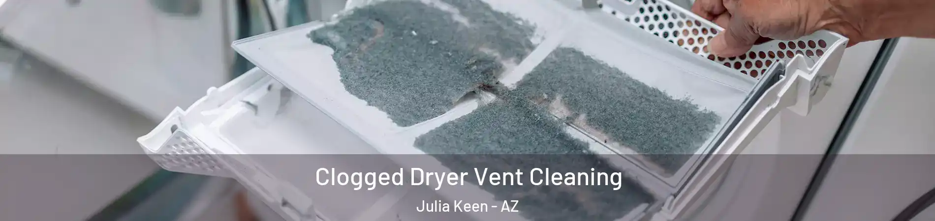Clogged Dryer Vent Cleaning Julia Keen - AZ