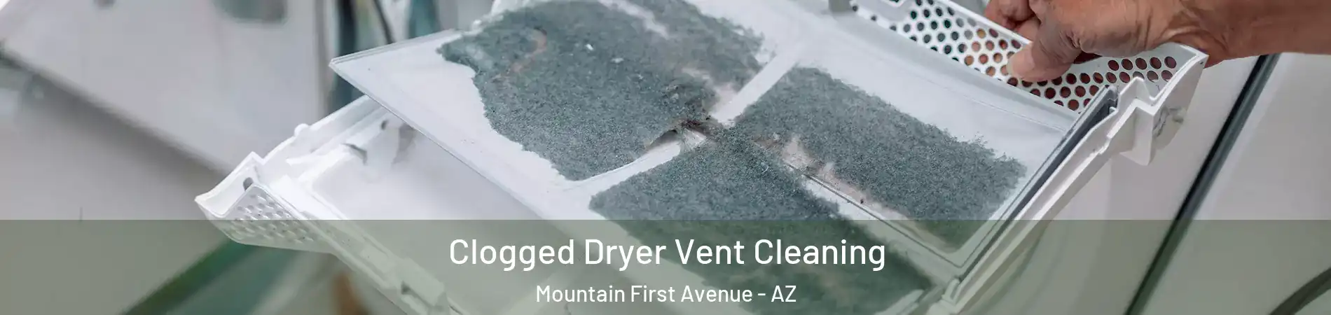Clogged Dryer Vent Cleaning Mountain First Avenue - AZ