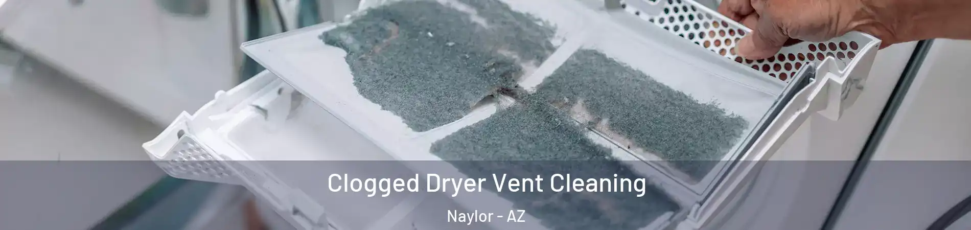 Clogged Dryer Vent Cleaning Naylor - AZ