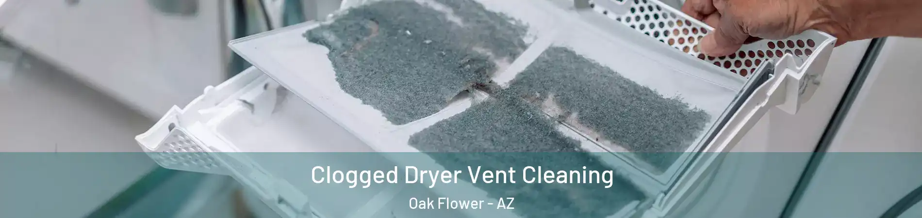 Clogged Dryer Vent Cleaning Oak Flower - AZ