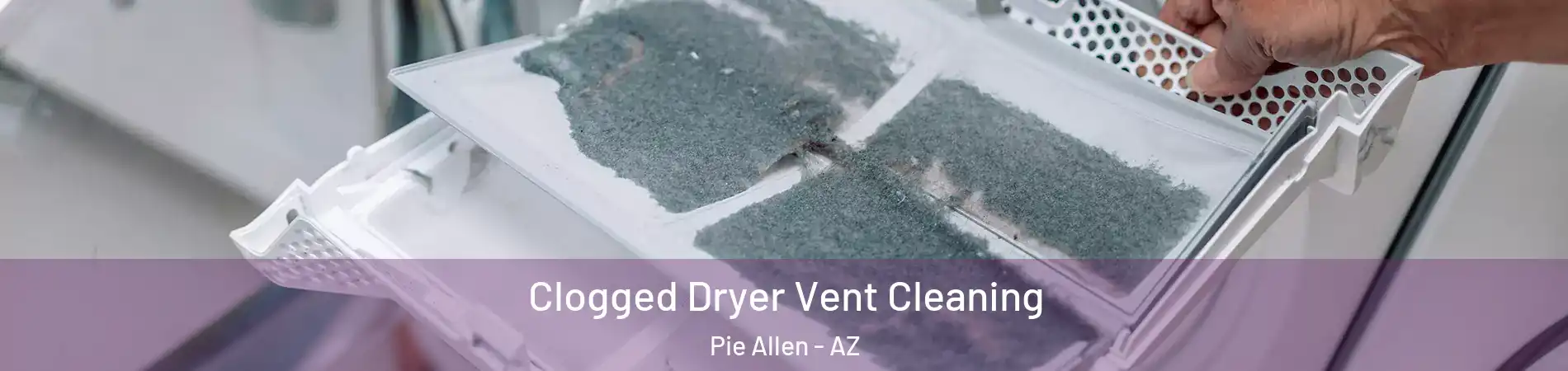 Clogged Dryer Vent Cleaning Pie Allen - AZ