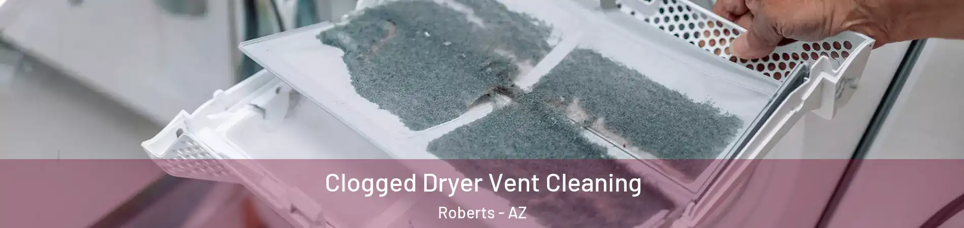 Clogged Dryer Vent Cleaning Roberts - AZ