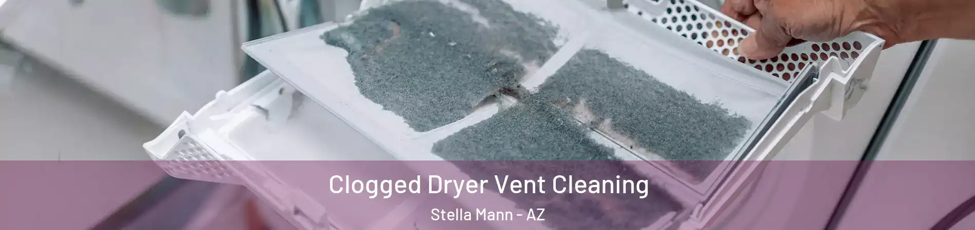 Clogged Dryer Vent Cleaning Stella Mann - AZ
