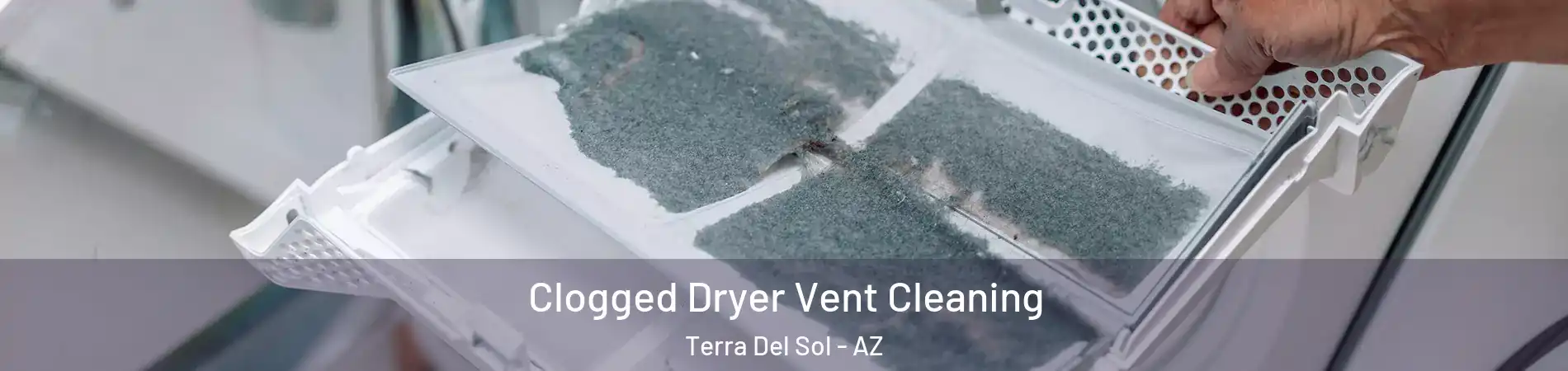 Clogged Dryer Vent Cleaning Terra Del Sol - AZ