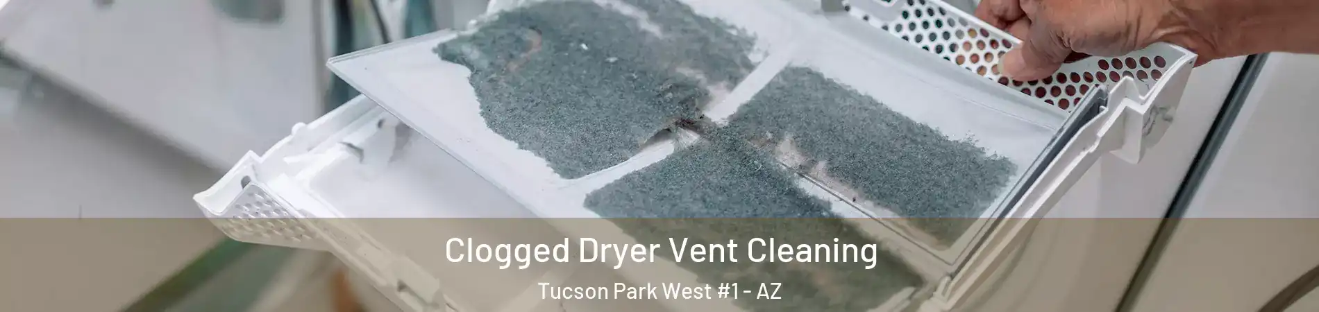 Clogged Dryer Vent Cleaning Tucson Park West #1 - AZ