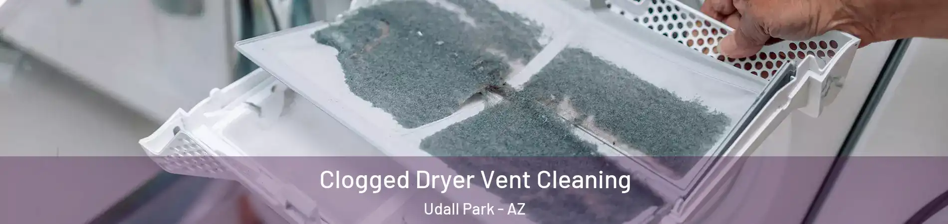 Clogged Dryer Vent Cleaning Udall Park - AZ