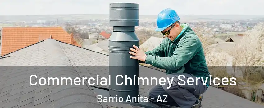 Commercial Chimney Services Barrio Anita - AZ