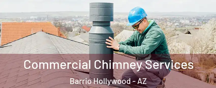 Commercial Chimney Services Barrio Hollywood - AZ