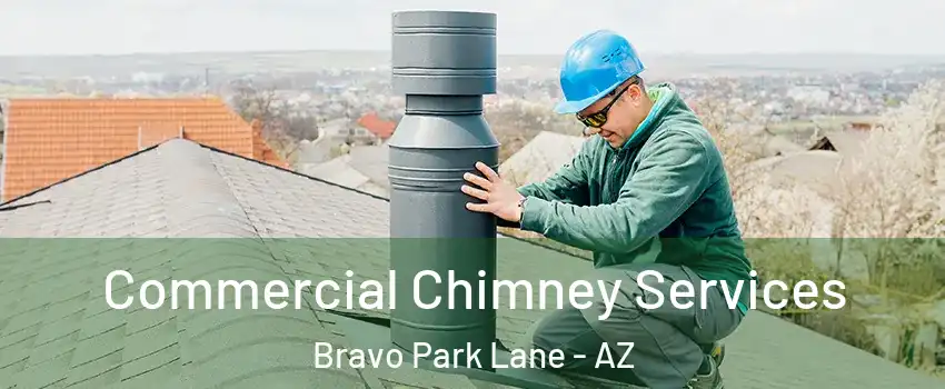 Commercial Chimney Services Bravo Park Lane - AZ