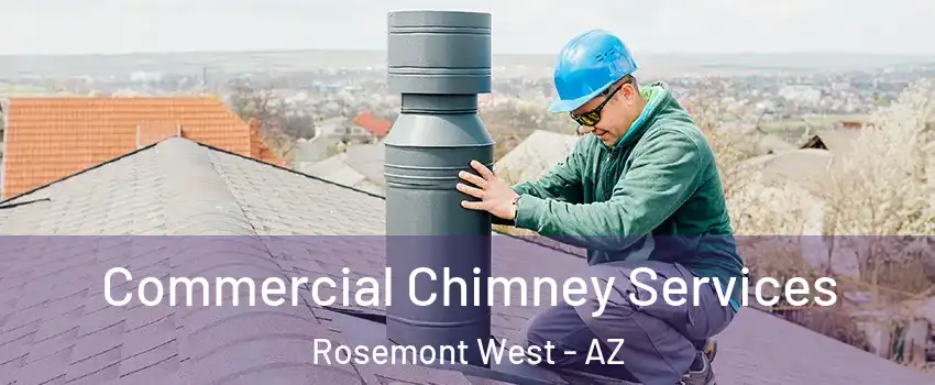 Commercial Chimney Services Rosemont West - AZ