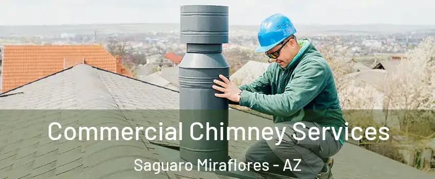 Commercial Chimney Services Saguaro Miraflores - AZ