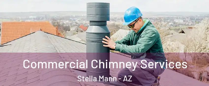 Commercial Chimney Services Stella Mann - AZ
