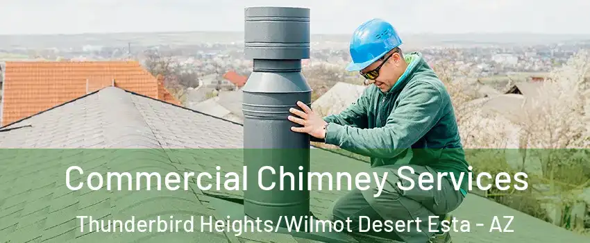 Commercial Chimney Services Thunderbird Heights/Wilmot Desert Esta - AZ