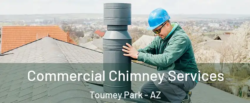 Commercial Chimney Services Toumey Park - AZ