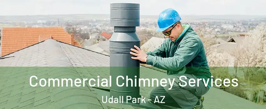 Commercial Chimney Services Udall Park - AZ