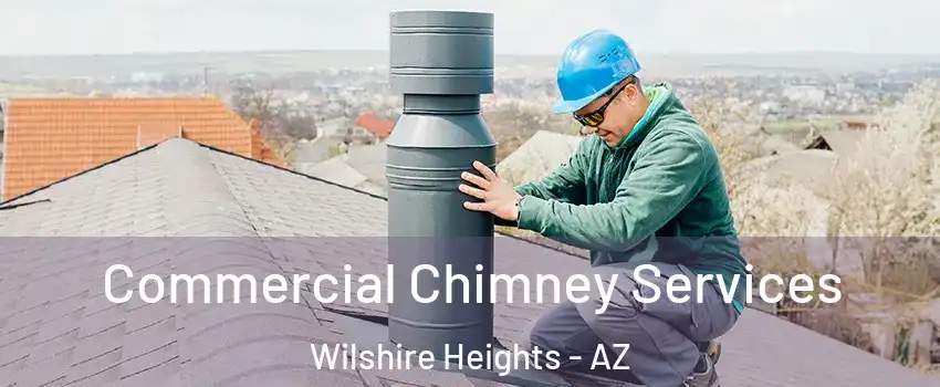 Commercial Chimney Services Wilshire Heights - AZ