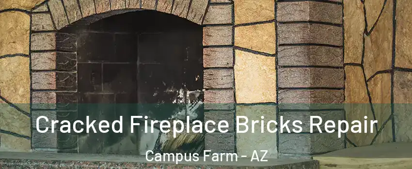 Cracked Fireplace Bricks Repair Campus Farm - AZ