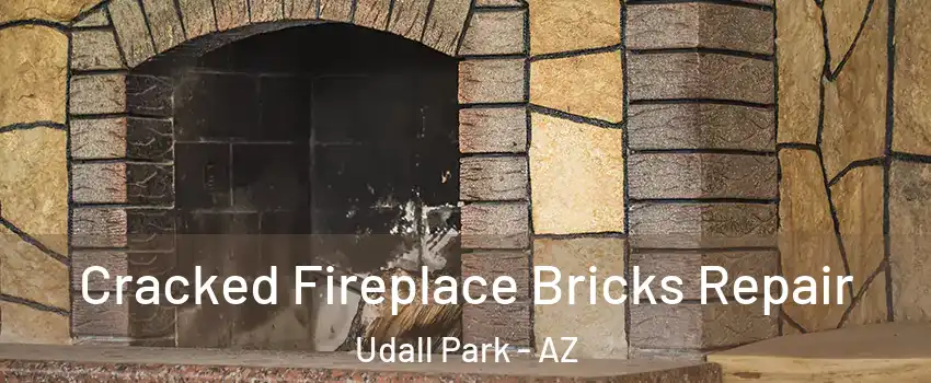 Cracked Fireplace Bricks Repair Udall Park - AZ