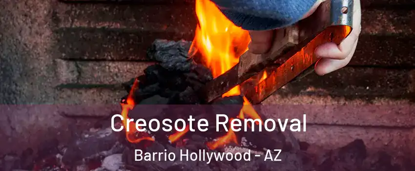 Creosote Removal Barrio Hollywood - AZ