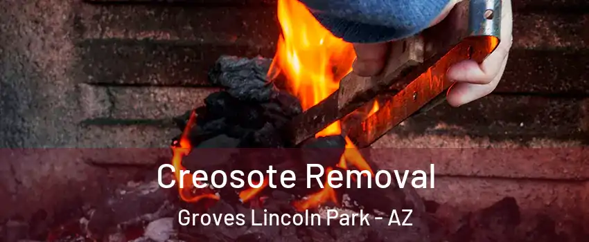 Creosote Removal Groves Lincoln Park - AZ