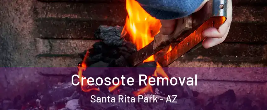 Creosote Removal Santa Rita Park - AZ
