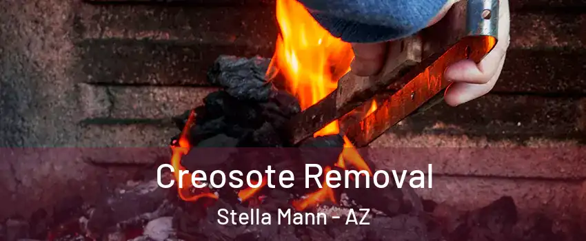 Creosote Removal Stella Mann - AZ