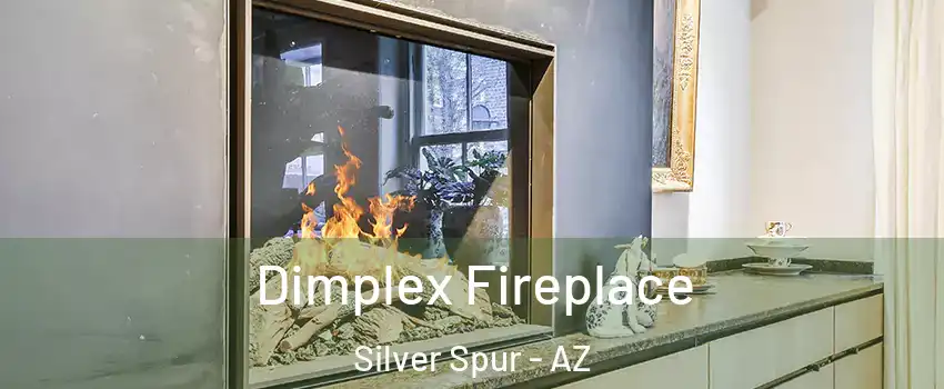 Dimplex Fireplace Silver Spur - AZ
