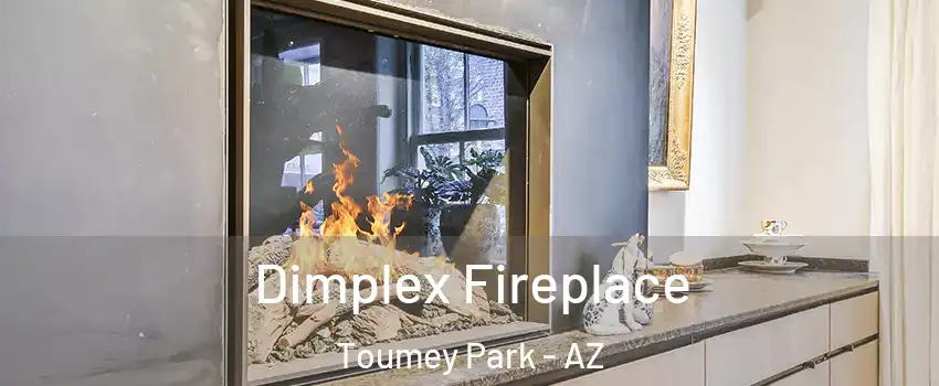Dimplex Fireplace Toumey Park - AZ