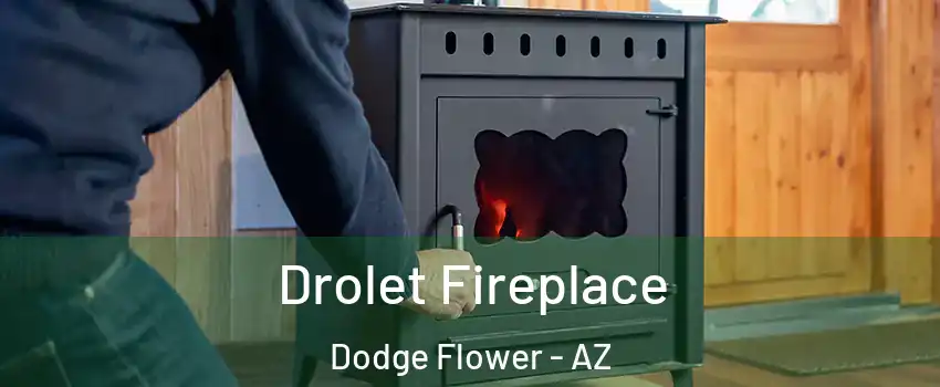Drolet Fireplace Dodge Flower - AZ