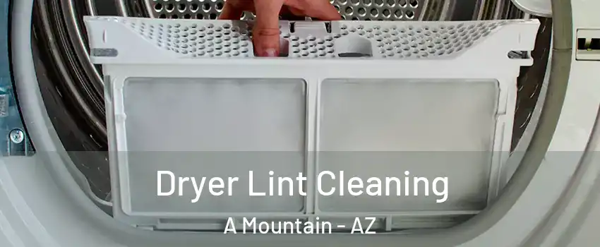 Dryer Lint Cleaning A Mountain - AZ