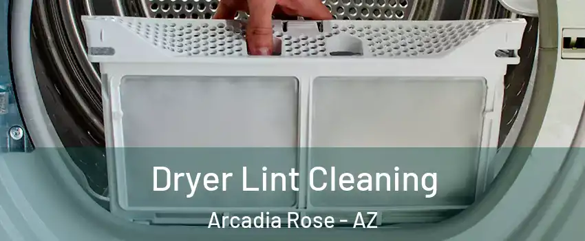 Dryer Lint Cleaning Arcadia Rose - AZ