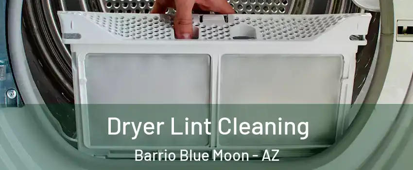 Dryer Lint Cleaning Barrio Blue Moon - AZ