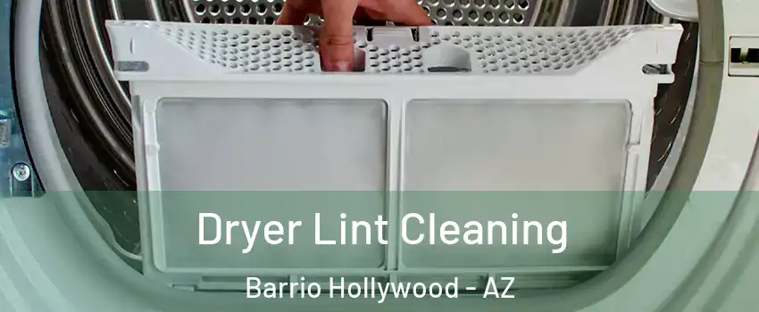 Dryer Lint Cleaning Barrio Hollywood - AZ