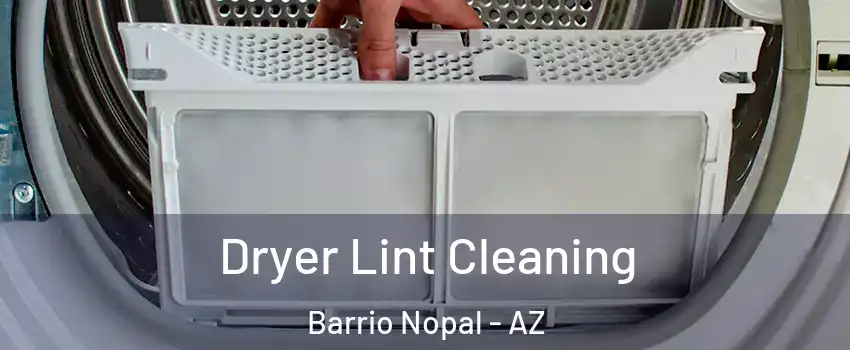 Dryer Lint Cleaning Barrio Nopal - AZ
