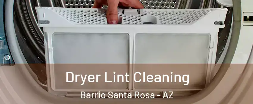 Dryer Lint Cleaning Barrio Santa Rosa - AZ