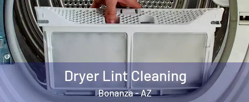 Dryer Lint Cleaning Bonanza - AZ