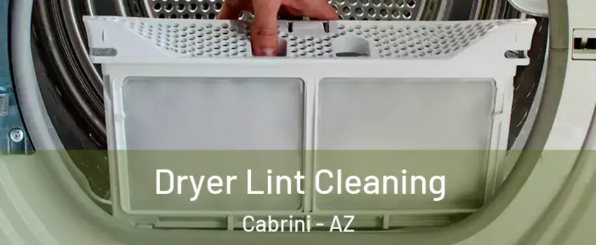 Dryer Lint Cleaning Cabrini - AZ