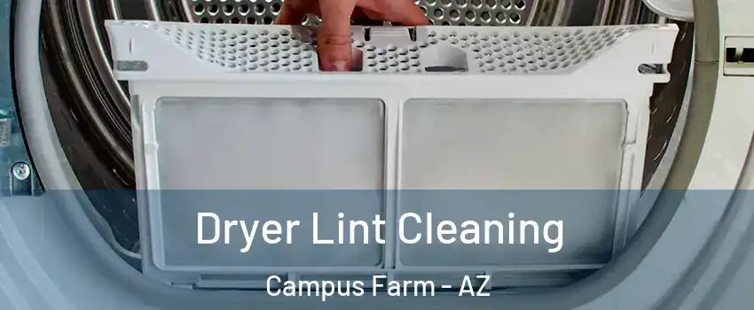 Dryer Lint Cleaning Campus Farm - AZ