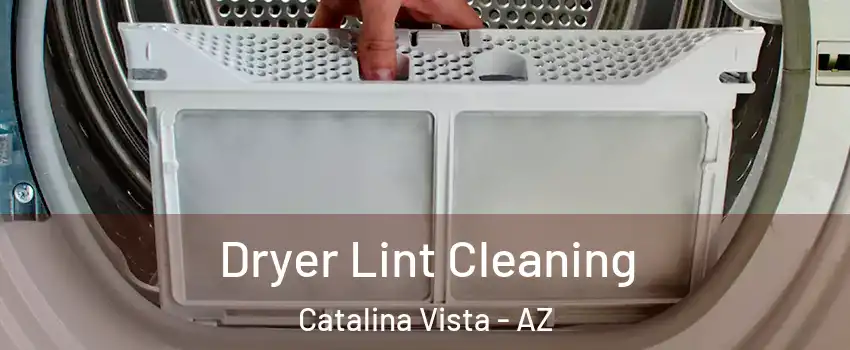 Dryer Lint Cleaning Catalina Vista - AZ