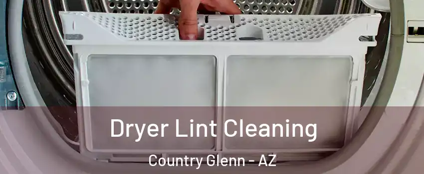 Dryer Lint Cleaning Country Glenn - AZ