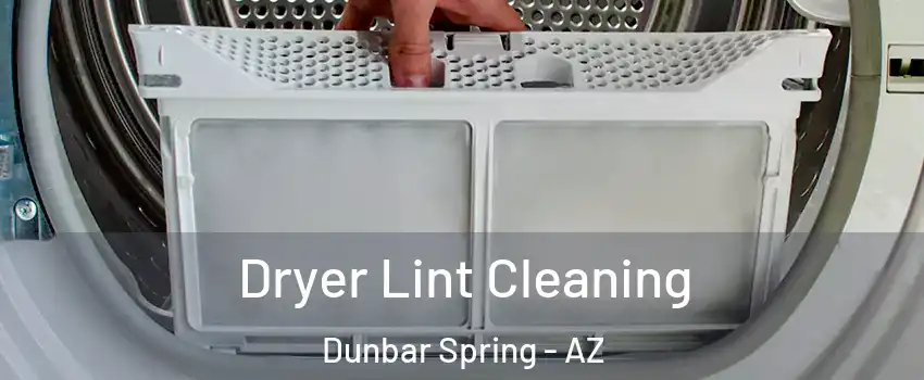 Dryer Lint Cleaning Dunbar Spring - AZ