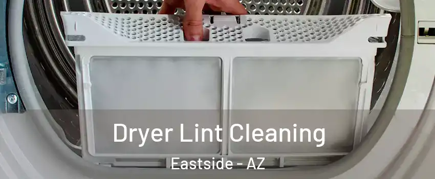 Dryer Lint Cleaning Eastside - AZ