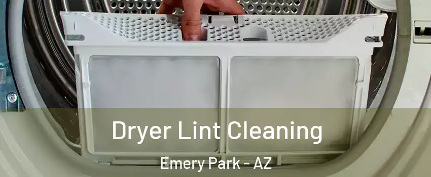 Dryer Lint Cleaning Emery Park - AZ