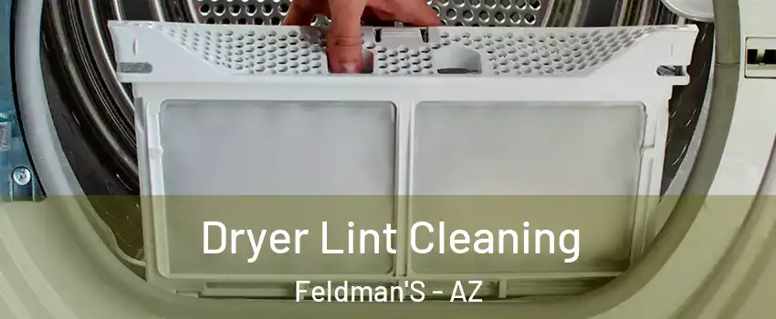 Dryer Lint Cleaning Feldman'S - AZ
