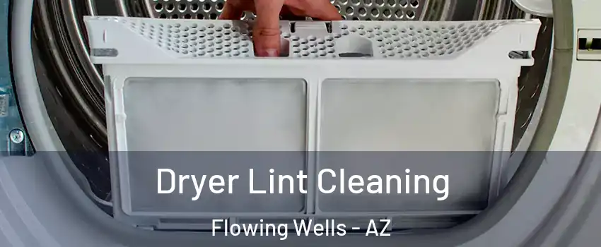 Dryer Lint Cleaning Flowing Wells - AZ