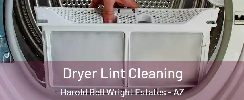 Dryer Lint Cleaning Harold Bell Wright Estates - AZ