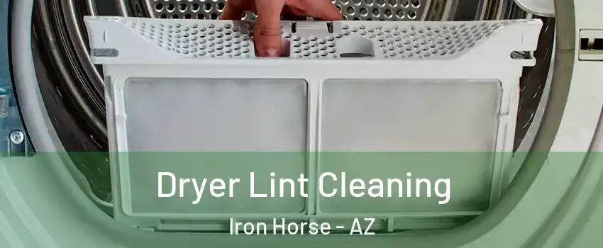 Dryer Lint Cleaning Iron Horse - AZ